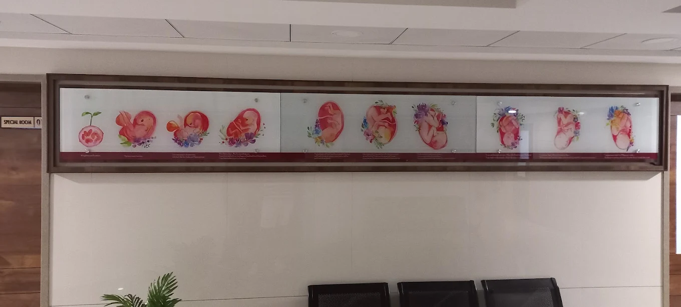 The illustrated nine-month fetal growth chart on the OPD wall